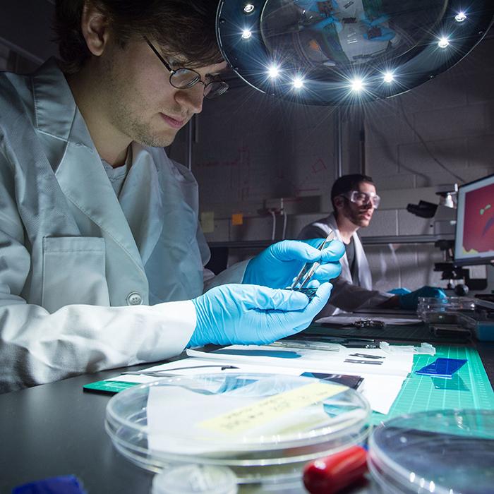 Students work in lab